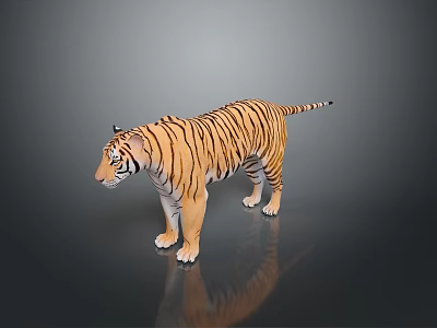 Realistic Tiger 3D Model With Black Stripes Standing On Reflective Dark Surface 3d model