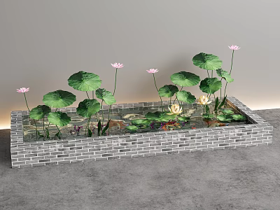 lotus pond water lily lotus aquatic plant 3d model