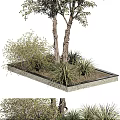 Tall Arbor With Lush Green Foliage And Strong Trunk In Natural Growth