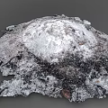 Natural Decorative Garden Ornament Irregular Shaped With Moss Covered Black Grey Textures