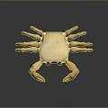 Golden Crab with Red Eyes and Detailed Claws on Dark Reflective Surface