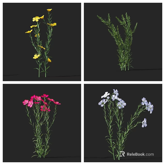 Colorful Garden Flowers and Green Plants with Yellow Pink White Purple Blooms 3d model 