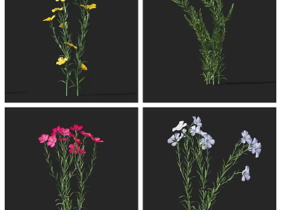 Colorful Garden Flowers and Green Plants with Yellow Pink White Purple Blooms 3d model