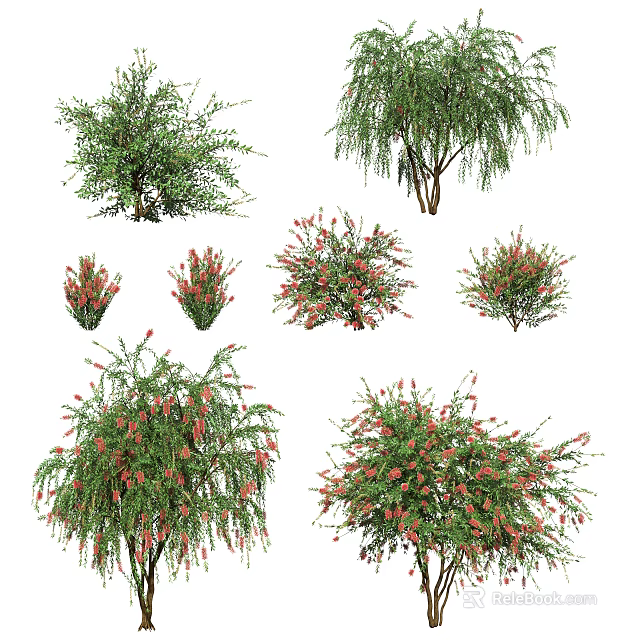 Various Types of Shrubs with Green Foliage and Red Flowers for Garden Landscaping 3d model 