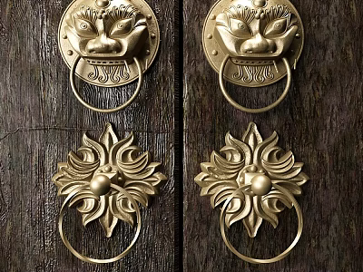 Ornate Brass Door Knockers With Lion Head And Floral Designs On Dark Wooden Door 3d model