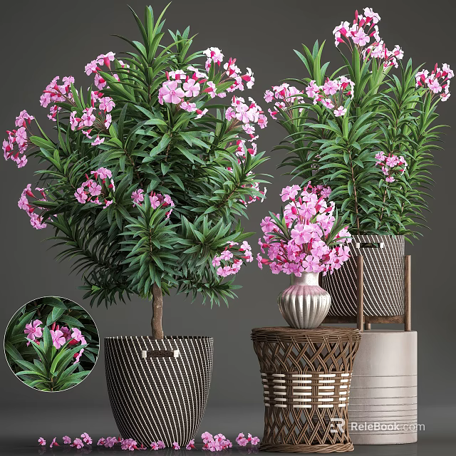 Bonsai Potted Plants With Pink Flowers Green Leaves And Various Decorative Pots 3d model 