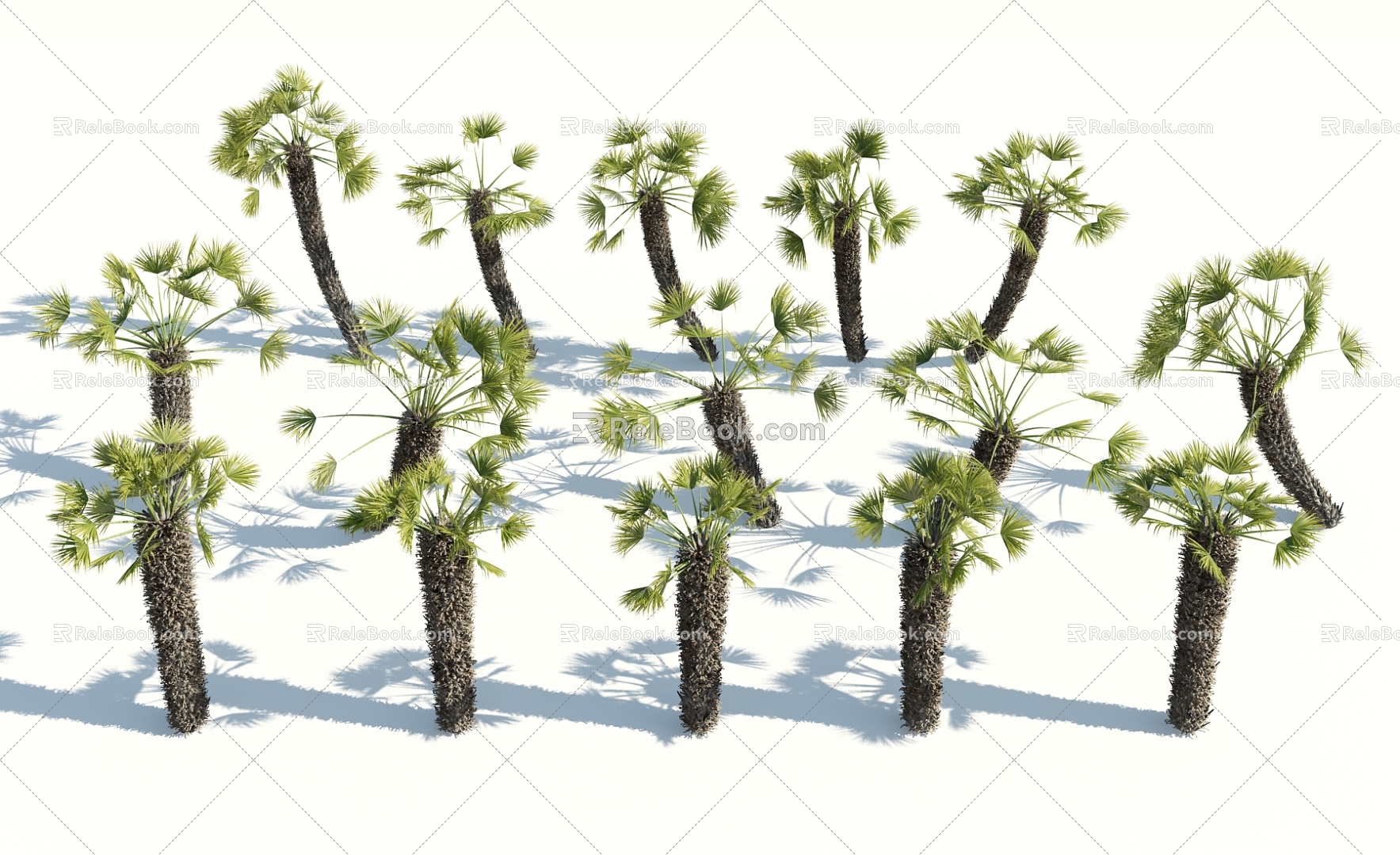 Modern Palm Tree 3d model