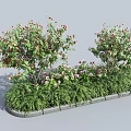 Two Lush Shrubs Surrounded by Green Plants and Pink Flowers With Wooden Border