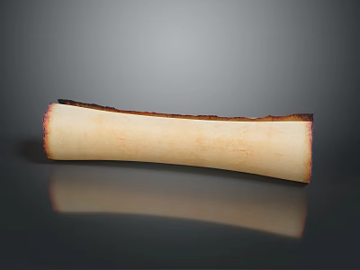 Curved Bone Shaped Object With Light Beige Surface And Dark Roasted Edges 3d model