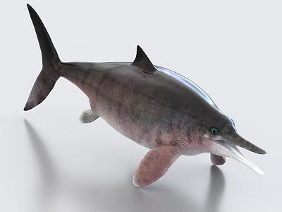 Extinct Prehistoric Aquatic Reptile With Long Snout Flippers And Streamlined Body 3d model