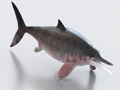 Big-eyed ichthyosaur Prehistoric animals Ancient creatures Sharks Marine creatures 3d model