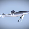 Swordfish With Long Bill Blue Eyes Silver Body White Stripes And Dorsal Fin