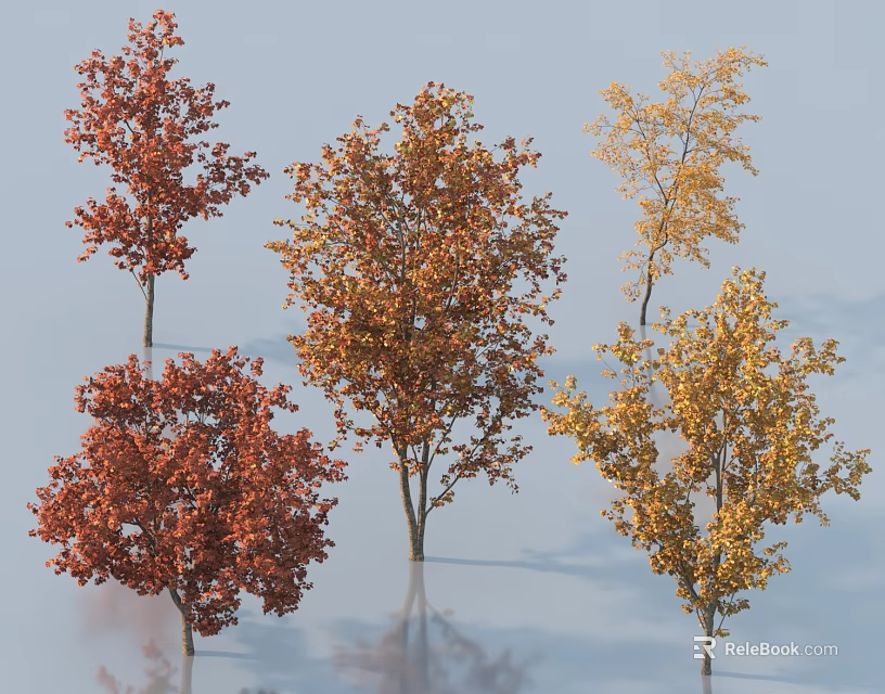 Autumn Arbor Trees With Red Orange Yellow Foliage Different Varieties Scenic View 3d model 