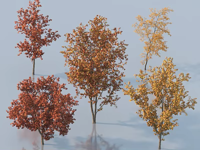 Autumn Arbor Trees With Red Orange Yellow Foliage Different Varieties Scenic View 3d model