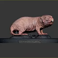 Detailed Naked Mole Rat Model Standing On Blue Display Base