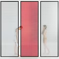 Modern Room Divider Three Panels Central Red Transparent Side Panels Grid Pattern People Behind 3d model