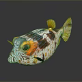 Vibrant Pufferfish with Colorful Patterns Yellow Fins and Tail for Artistic Decorative