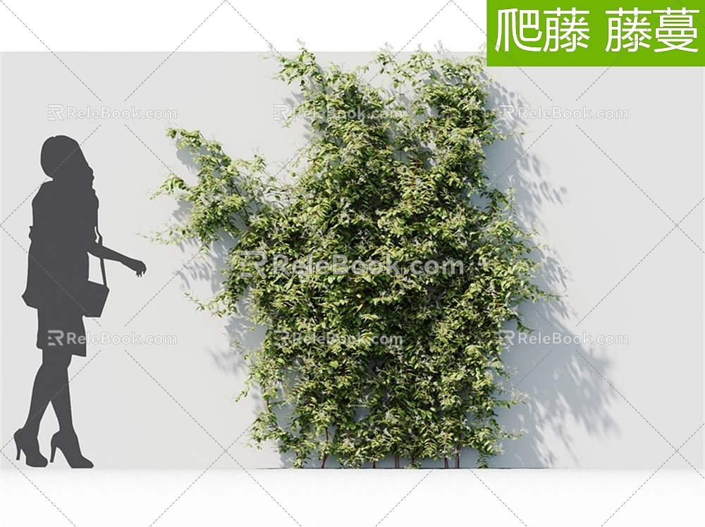 Modern Vine Vine Wall 3d model