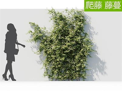 Modern Vine Wall 3d model