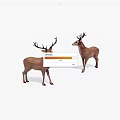 Two Brown Deer With Antlers Standing On White Background 3d model