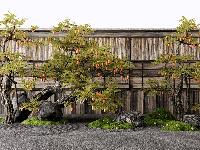 Chinese Persimmon Tree Landscape Tree Arbor Old Pile Fruit Tree Orange Tree Stone Micro-terrain Moss Landscape Dry Landscape 3d model