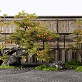 Arbor Trees Bearing Orange Fruits By Wooden Wall With Stones Green Grass And Gravel