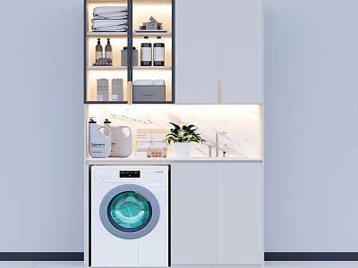 Modern Balcony Cabinet With Built In Washing Machine Potted Plant And Cleaning Supplies 3d model