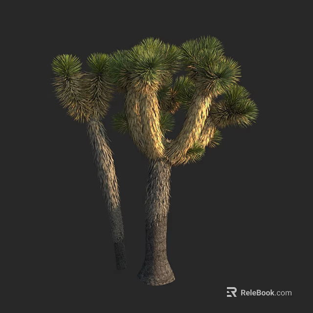 Joshua Tree With Green Leaves And Textured Trunks In Natural Environment 3d model 