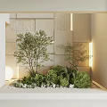 Indoor Landscape Design With Small Tree Ferns Green Plants White Pebbles And Lighted Stone Wall