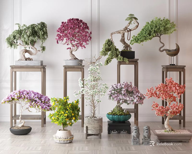 Various Colored Bonsai Trees With Curved Branches On Wooden Stands And Decorative Accents 3d model 