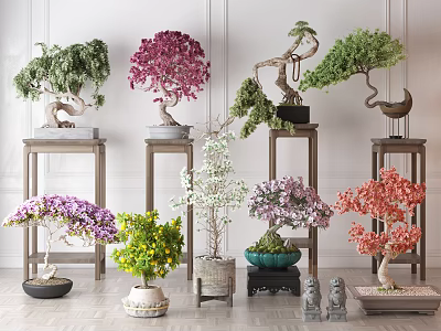 Various Colored Bonsai Trees With Curved Branches On Wooden Stands And Decorative Accents 3d model