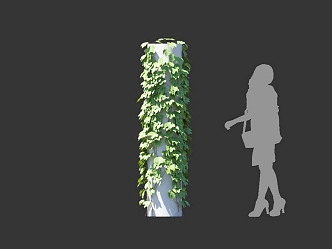 Dijin Creeper Vine Climbing Vine Climbing Wall Plant Huateng Ivy Climbing Wall Plant 3d model