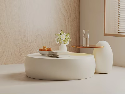 Modern Minimalist Sofa And Coffee Table Set With Round White Table Vase Books And Fruits 3d model