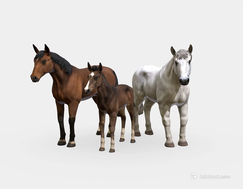 Three Horses Group Including Brown Adult Foal and White Mare Standing Together 3d model 