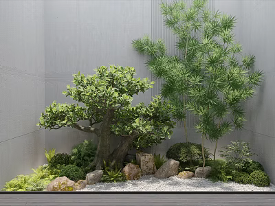 Courtyard Garden with Styled Tree Bamboo Small Shrubs Stones and Gravel Ground Against Gray Wall 3d model