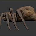 Realistic 3D Rendered Spider With Brown Copper Body And Long Legs