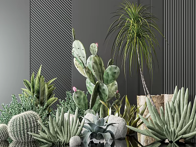 Bonsai Potted Plants Collection With Succulents Cactus Decorative Stones And Wooden Pot 3d model