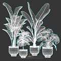 Lush Indoor Living Plant Wall With Various Green Plants And Ceramic Pots