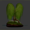Weeping Willow Tree Featuring Green Drooping Branches On Island Surrounded By Water And Small Rocks