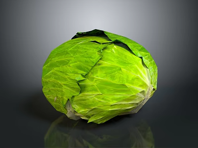 Fresh Green Cabbage With Crisp Wrinkled Leaves On Dark Reflective Surface 3d model