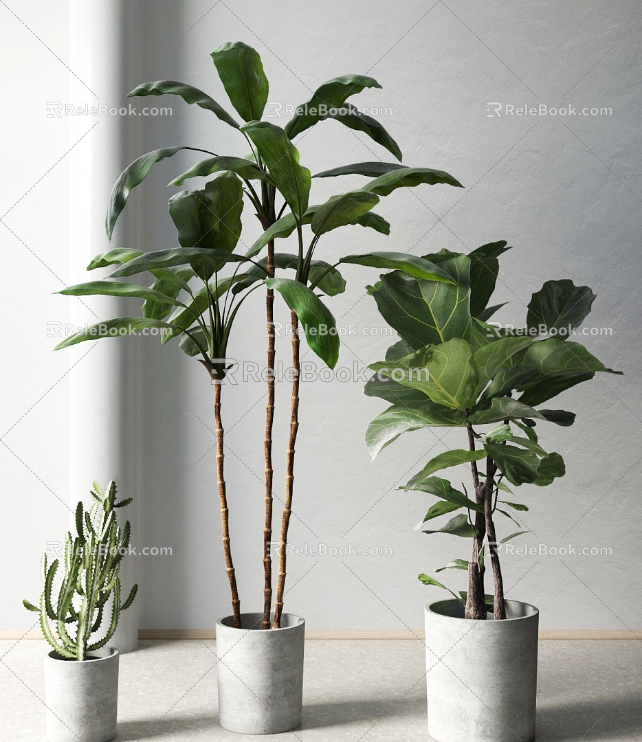 Modern Potted Plant 3d model