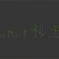 Neatly Arranged Landscape Tree Models On Black Platform With Various Sizes