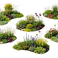 Mixed Plant Combinations With Colorful Flowers Greenery And Diverse Garden Layouts