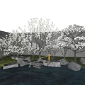 Blooming Arbor Trees In Garden With Pond Rocks Grass Gray Wall And Fence