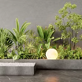 Modern Indoor Green Plant Combination With Concrete Planter And Round Light