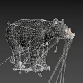 Detailed Realistic Black Bear Standing Side View Isolated Dark Background 3d model