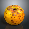 Yellow Spotted Apple with Brown Blemishes on Dark Background with Shiny Reflection Surface 3d model