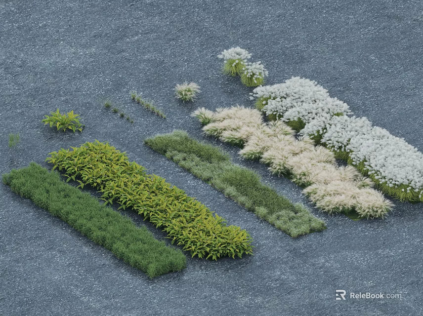 Various Plant Combinations With Green And White Foliage Arranged In Shapes On Gray Ground 3d model 