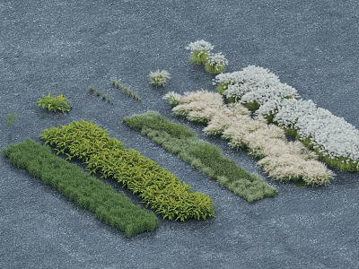 Various Plant Combinations With Green And White Foliage Arranged In Shapes On Gray Ground 3d model