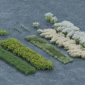 Various Plant Combinations With Green And White Foliage Arranged In Shapes On Gray Ground